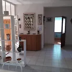 Julia Vendeghaz Appartement