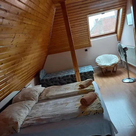 Apartment Julia Vendeghaz Sarospatak