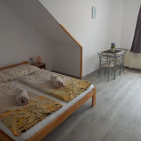 Apartament Julia Vendeghaz
