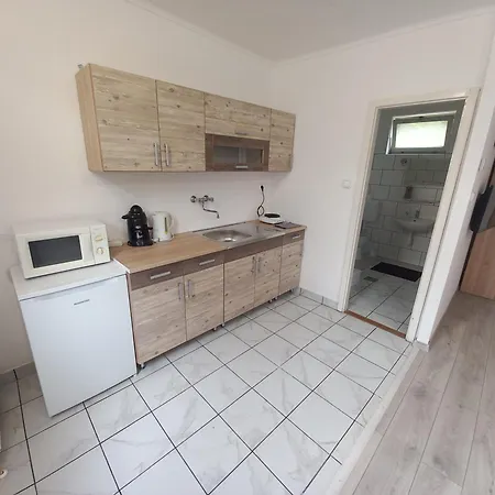 Apartment Julia Vendeghaz *